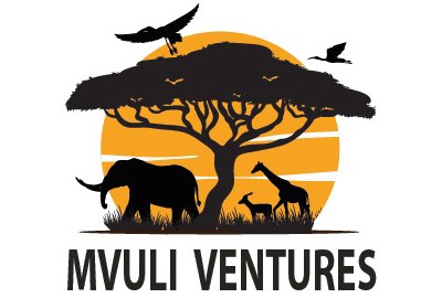 Mvuli Ventures