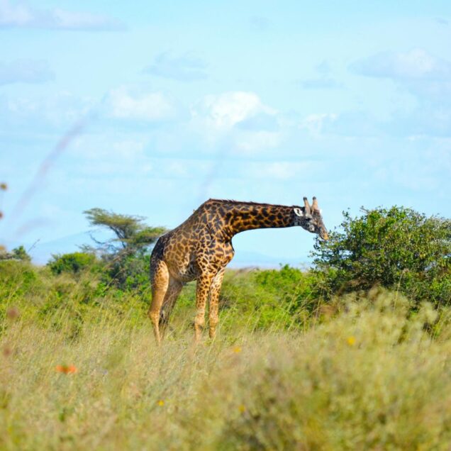 Nairobi