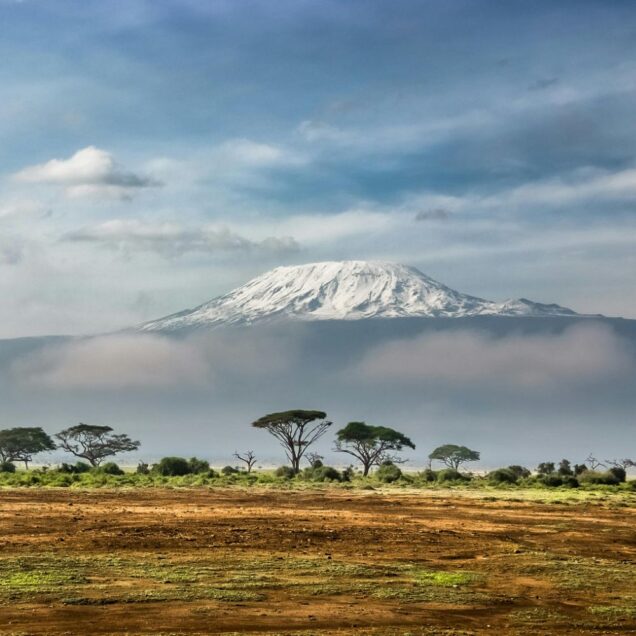 Mt Kilimanjaro